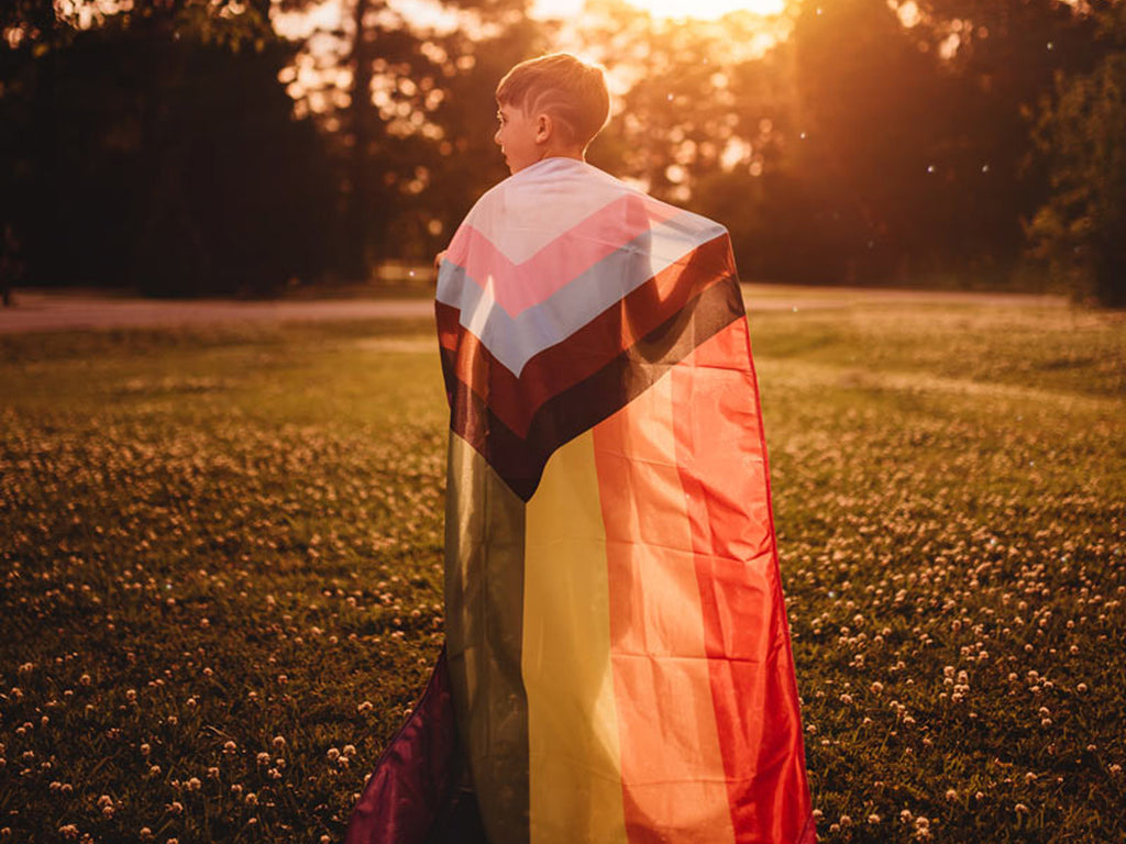 Progress LGBTQ+ Pride Flag