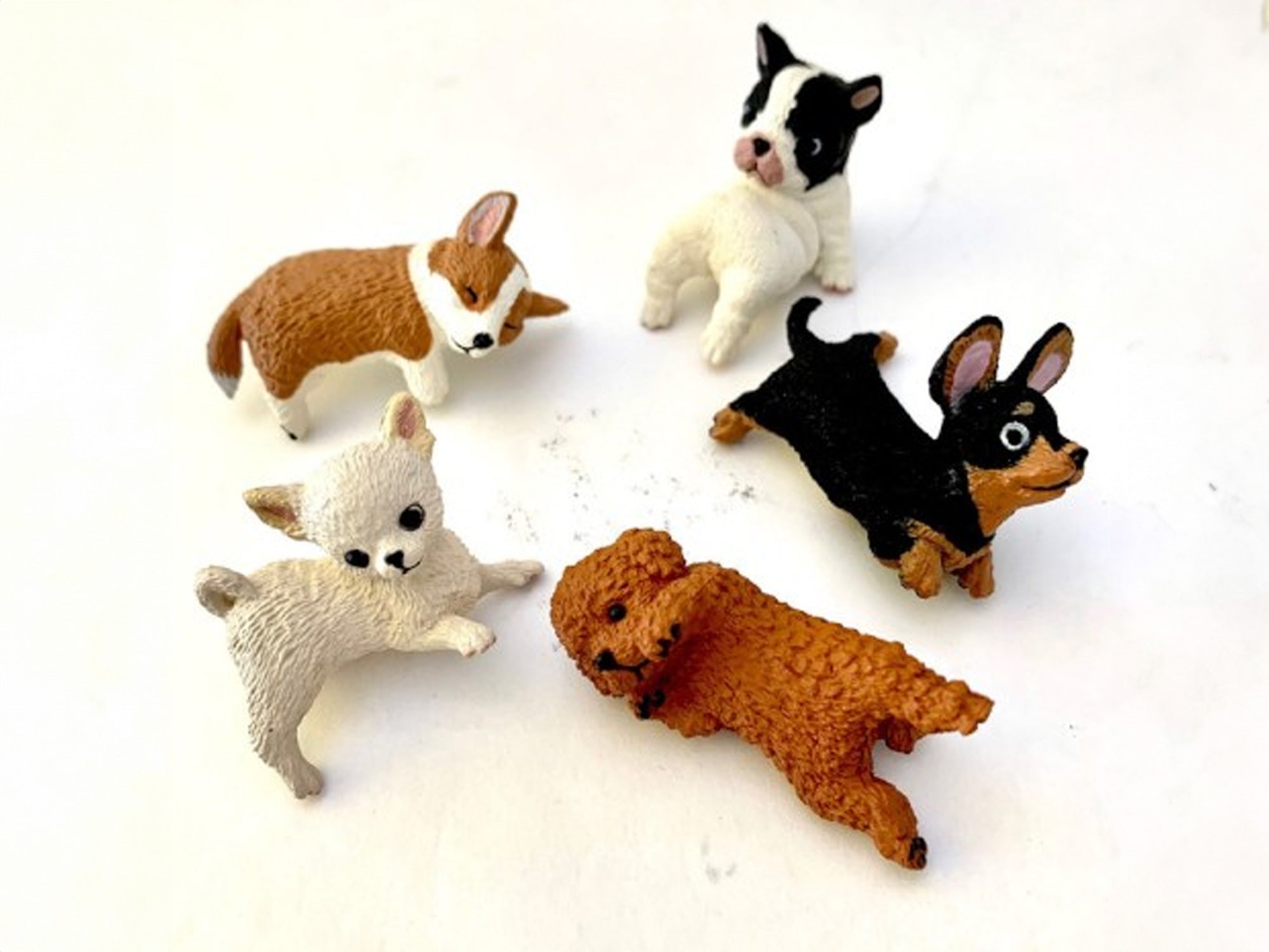 Toys Blind Dogs