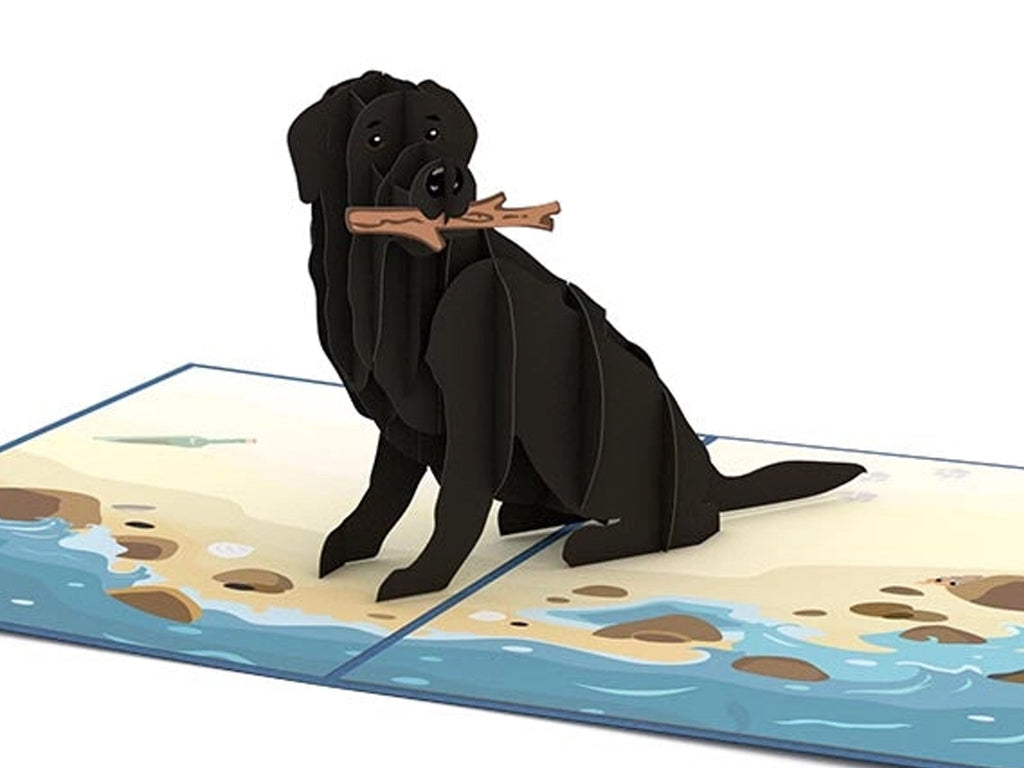 Black Lab Pop-Up Card