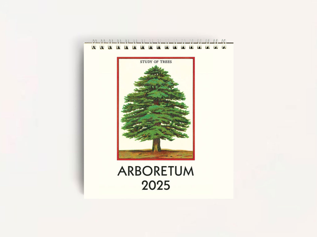 Cavallini 2025 DESK Calendar - Arboretum