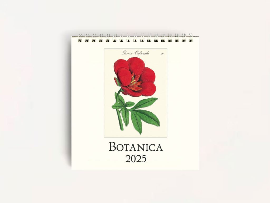 Cavallini 2025 DESK Calendar - Botanica