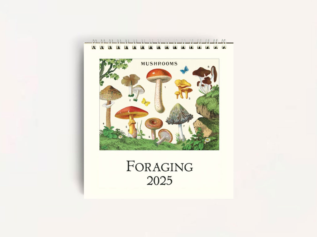 Cavallini 2025 DESK Calendar - Foraging