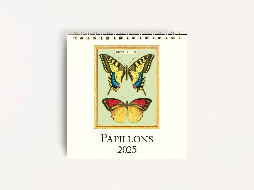 Cavallini 2025 DESK Calendar - Papillons