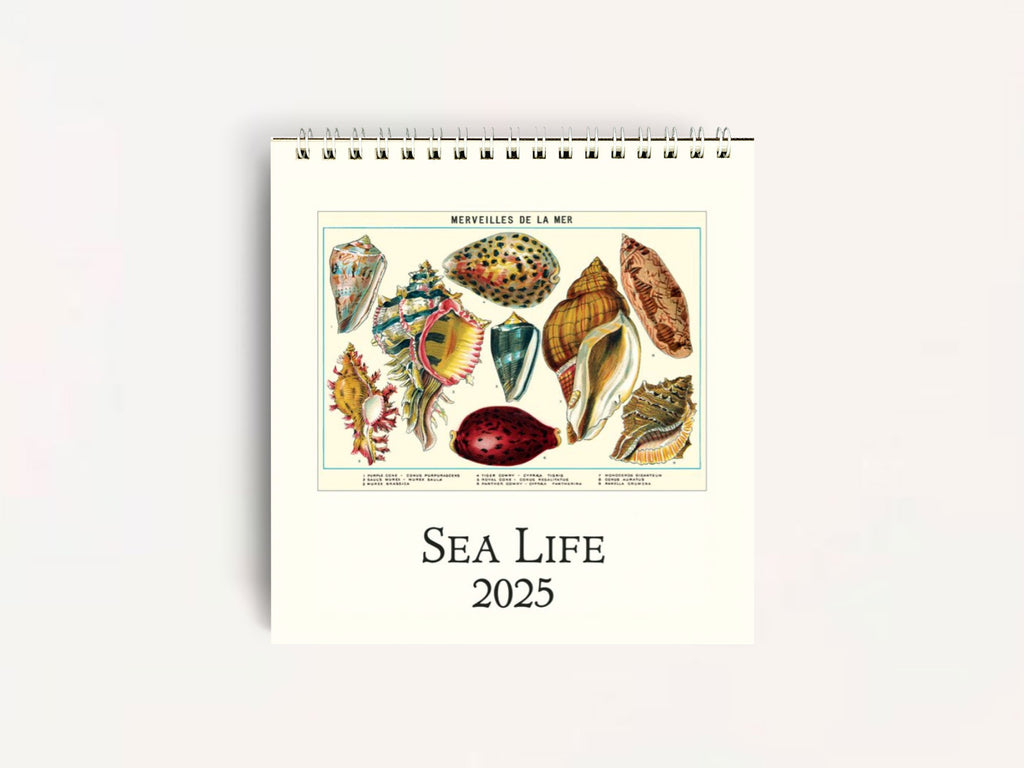 Cavallini 2025 DESK Calendar - Sea Life