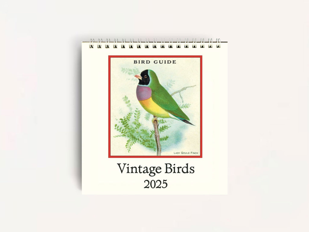 Cavallini 2025 DESK Calendar - Vintage Birds