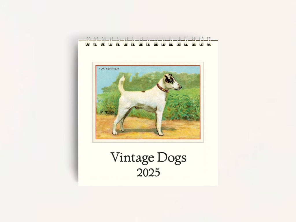 Cavallini 2025 DESK Calendar - Vintage Dogs