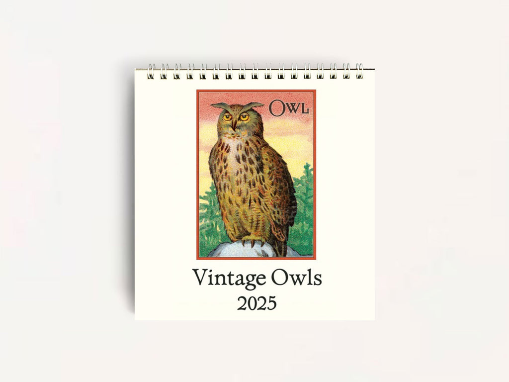 Cavallini 2025 DESK Calendar - Vintage Owls