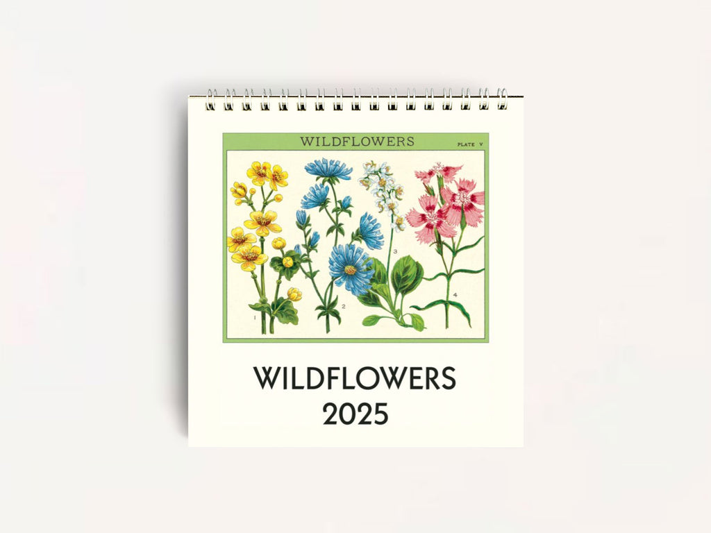 Cavallini 2025 DESK Calendar - Wildflowers