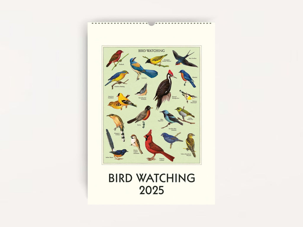 Cavallini 2025 WALL Calendar - Birdwatching