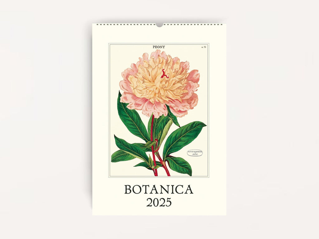 Cavallini 2025 WALL Calendar - Botanica