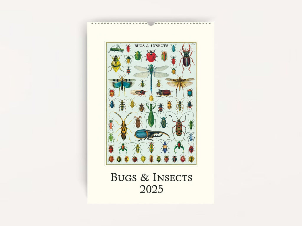 Cavallini 2025 WALL Calendar - Bugs & Insects