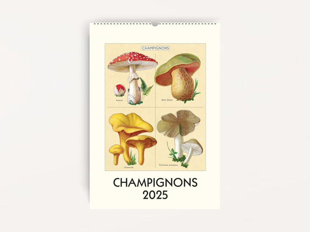 Cavallini 2025 WALL Calendar - Champignons