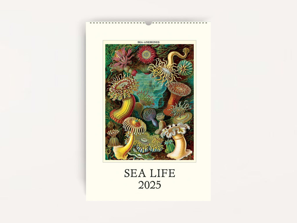 Cavallini 2025 WALL Calendar - Sea Life