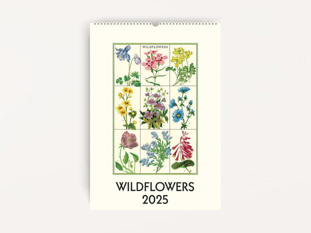 Cavallini 2025 WALL Calendar - Wildflowers