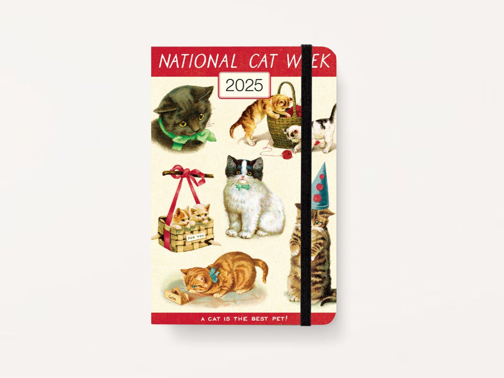 Cavallini 2025 WEEKLY PLANNER - Cat