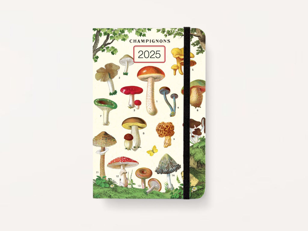 Cavallini 2025 WEEKLY PLANNER - Mushrooms