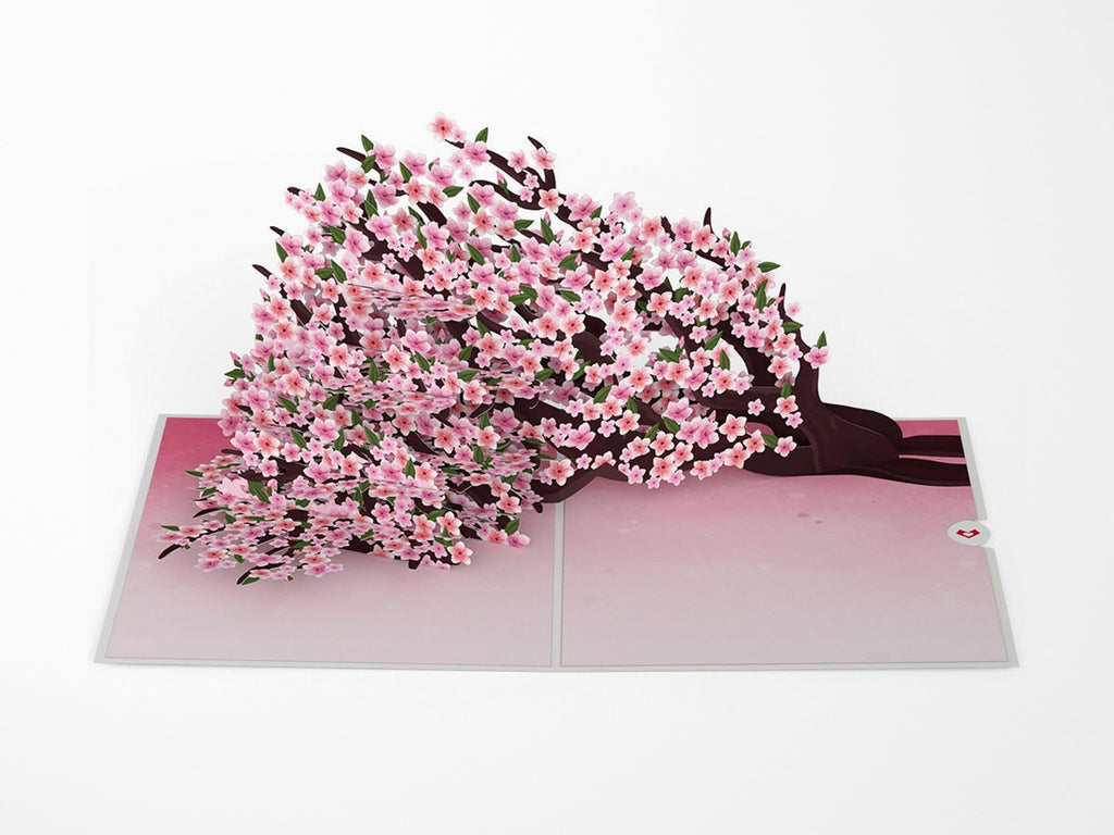 Cherry Blossom Branches in Bloom Pop-Up Card