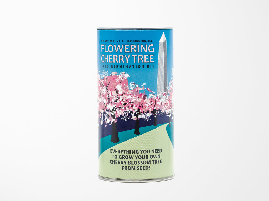 Cherry Blossom Grow Your Own Seed Kit