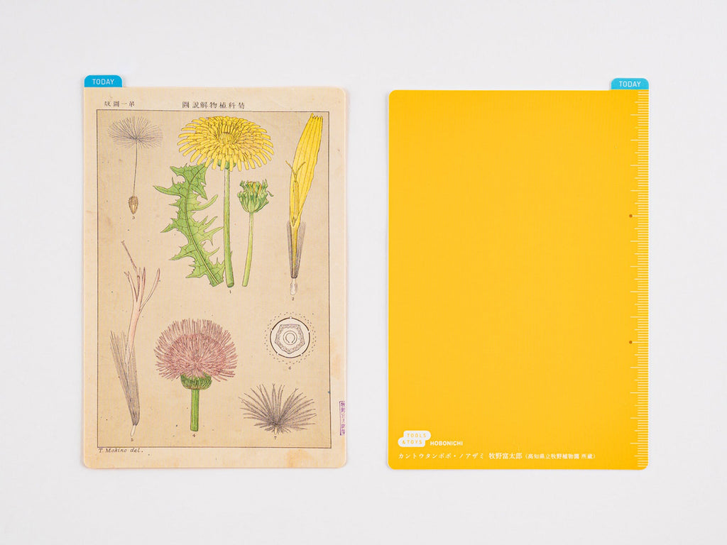 Hobonichi Pencil Board for A6 Size - Tomitaro Makino