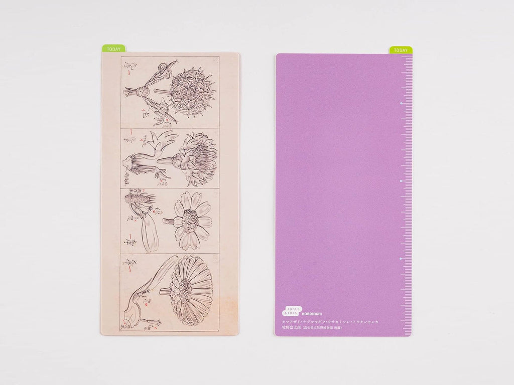 Hobonichi Pencil Board for Weeks Size - Tomitaro Makino