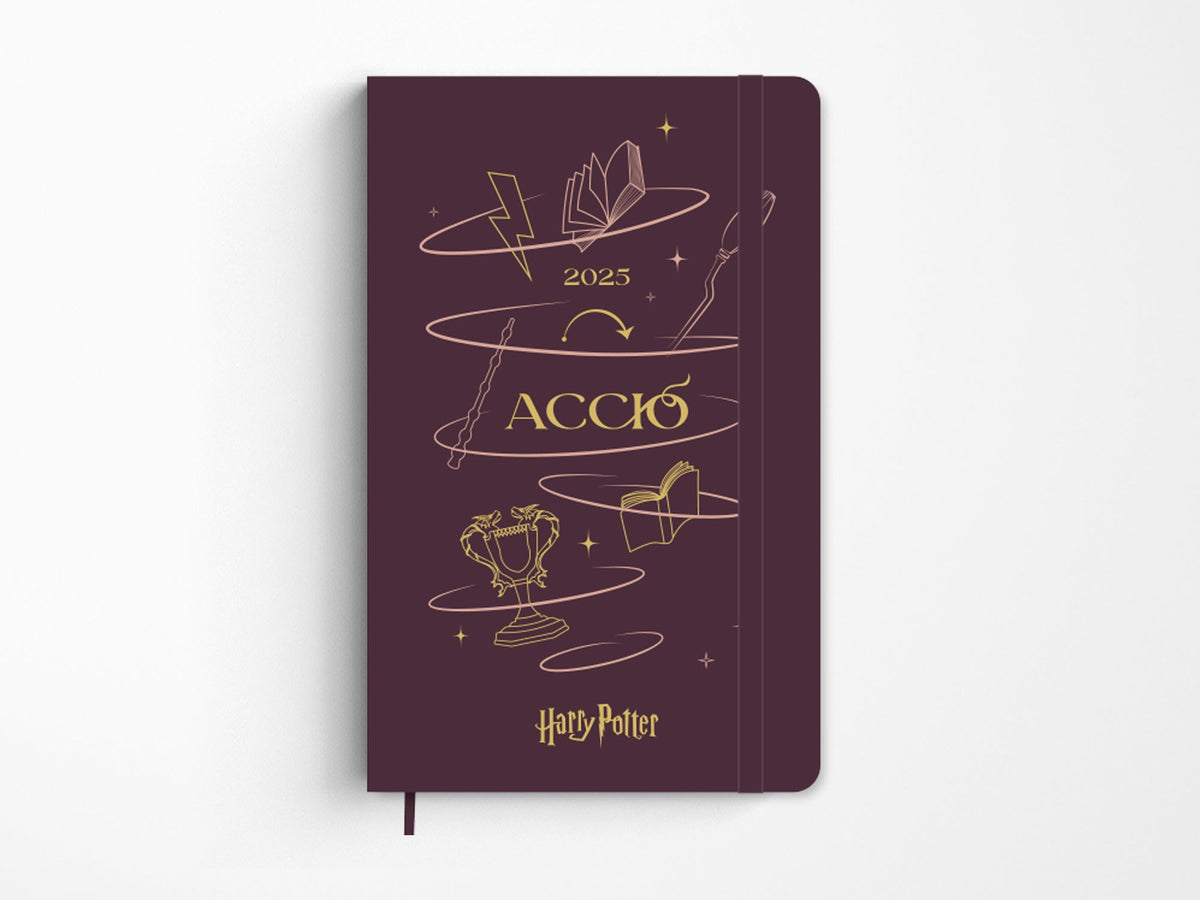 Moleskine x Harry Potter Accio Daily Planner 2025 Jenni Bick Custom