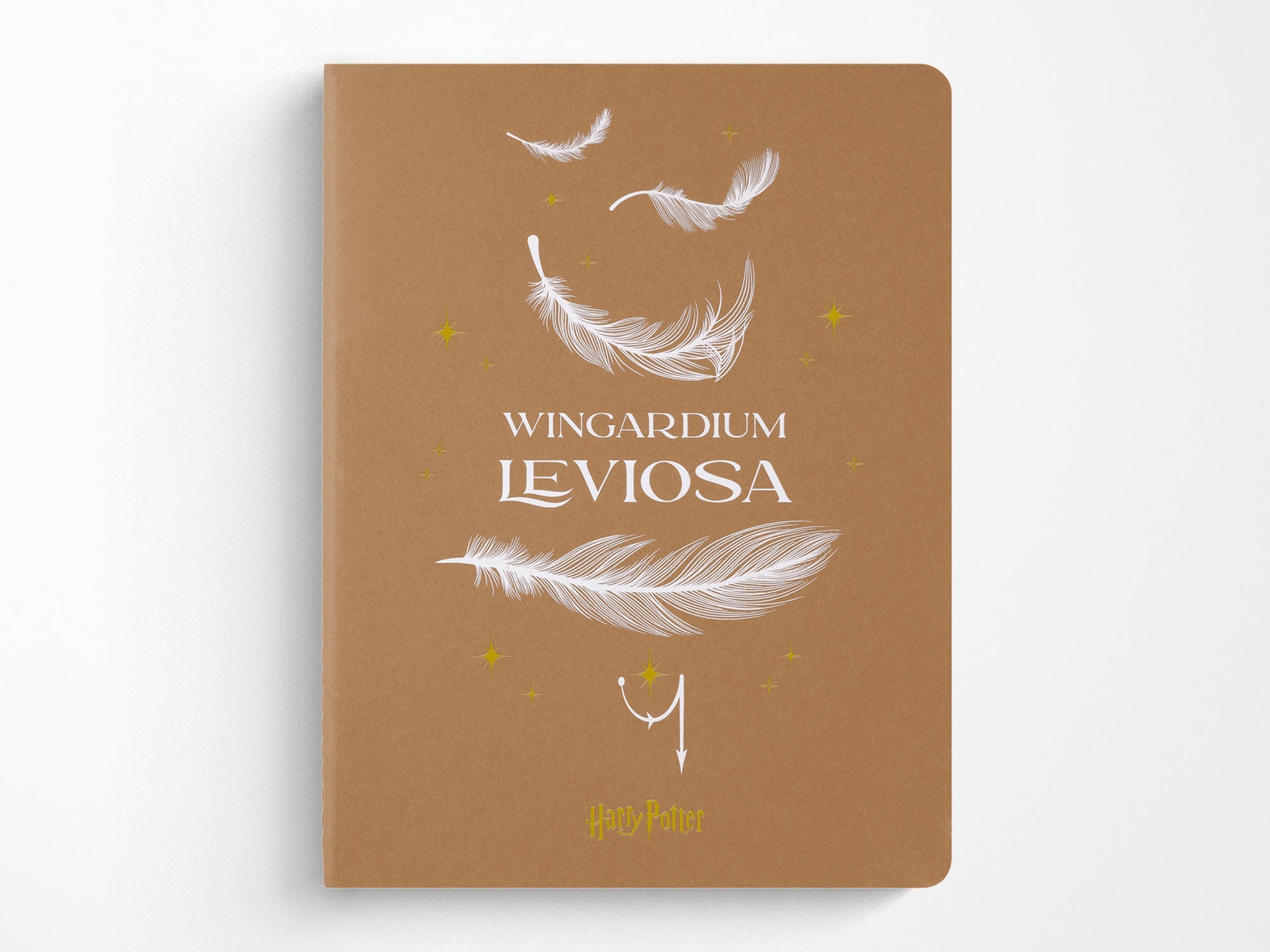 Moleskine x Harry Potter Wingardium Leviosa Cahier Notebook – Jenni Bick  Custom Journals