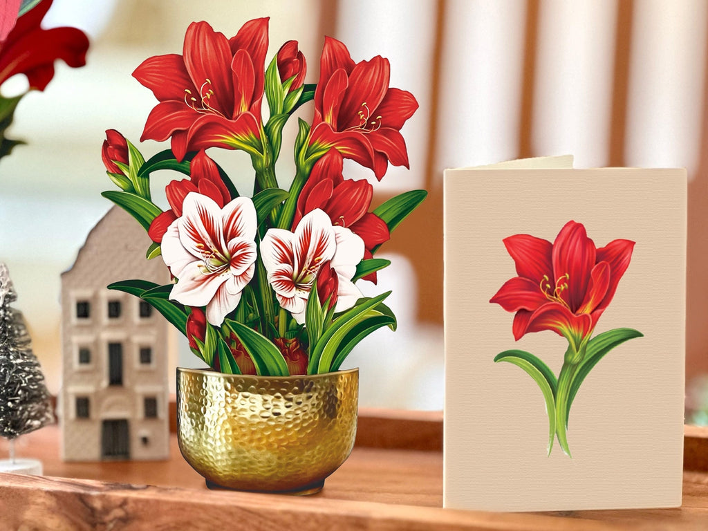 Scarlet Amaryllis Pop Up Greeting Bouquet - Mini