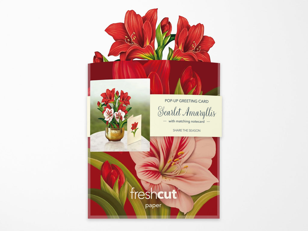 Scarlet Amaryllis Pop Up Greeting Bouquet - Mini