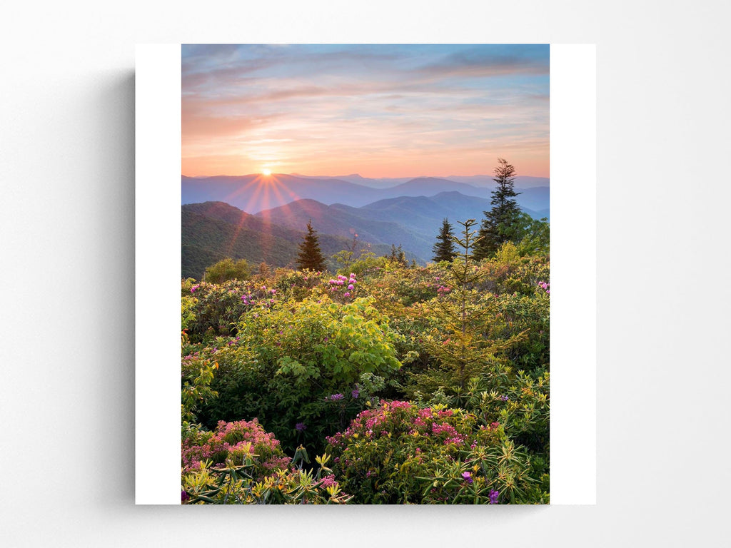 Sierra Club Wilderness Calendar 2025