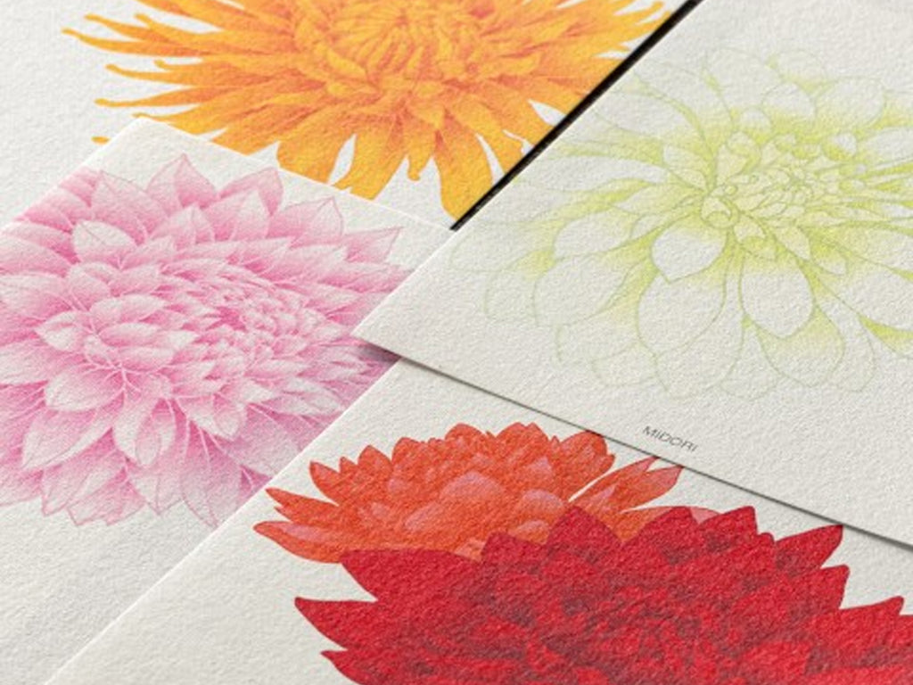 Midori Seasonal Autumn Four Designs Dahlia Message Pad